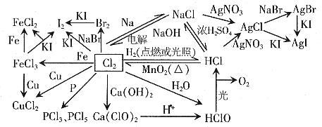 抓相似         卤素单质的相似性有:      ①均为双原子分子.