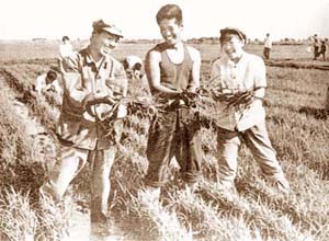 北大荒岁月-摘自历史学科网 - hongyy - 洪永勇的博客 北大荒岁月-摘自历史学科网 - hongyy - 洪永勇的博客