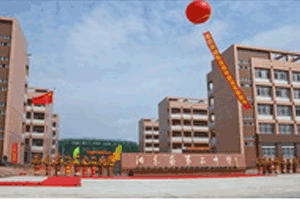 广东省阳东县第二中学