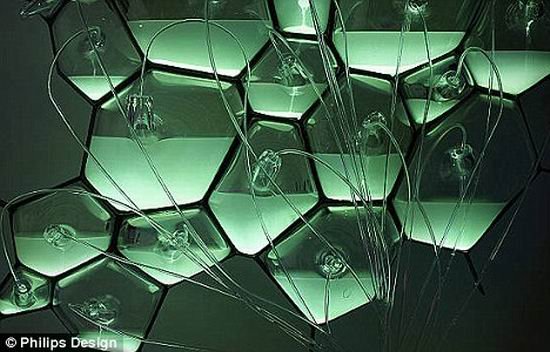 新型"生物灯"通过发光细菌产生光线