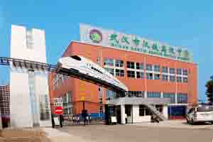 湖北省武汉市汉铁高级中学报告高中英语图片