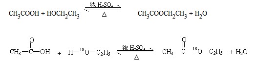 乙酸乙酯的制备实验剖析