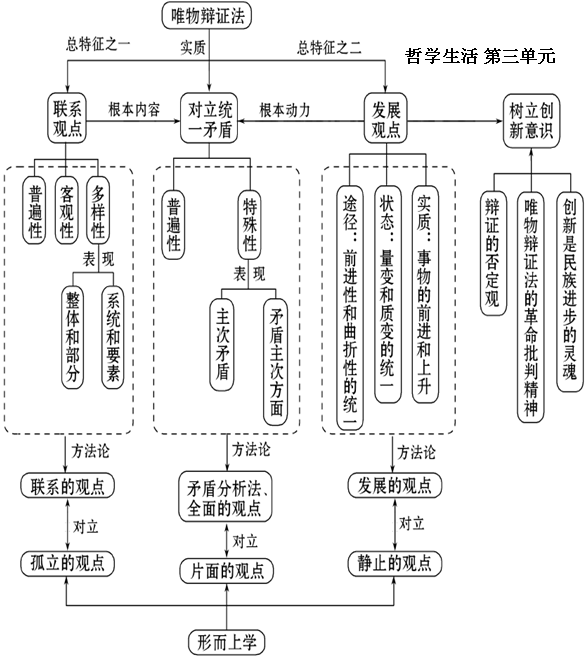 ... 必修二结构图_岳麓版历史必修二_高中生物必修