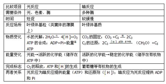 (2)概述光合作用的过程(光反应和暗反应)