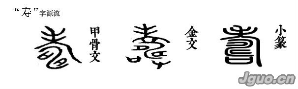 寿字源流 金文的寿字有两种写法。第一种写法,以老字的省笔作形符,表示老年人,即表示寿;另外两部分字形作声符。这两部分字形合起来为古畴字,指已耕作过的田地。田地里沟渠纵横,有长的意思。所以寿以畴作声符并会意。 金文寿字的第二种写法,是在前一种写法的基础上另加了口和又,口字像酒器;又字像手,为老者举杯祝寿。小篆与楷书的字体,仍然是手捧酒器为老者祝寿的意思。本义为年纪老,长寿。 简体字寿,应该看作是个会意字。由老字的省笔和寸字组合。