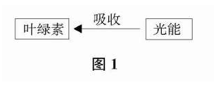 关于关于提升高中生物教学价值的的毕业论文提纲范文