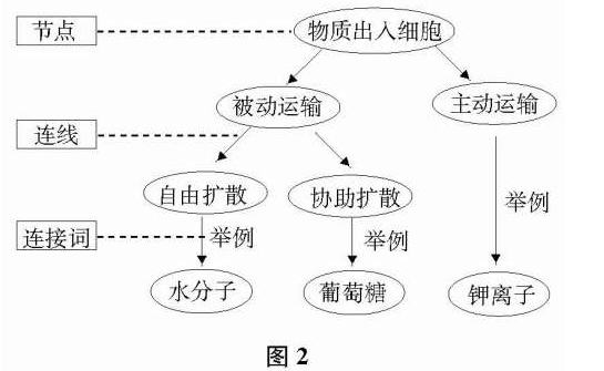 简述教育的人口功能_高中生物教学论文 概念图的制作及其教学价值 生物论文