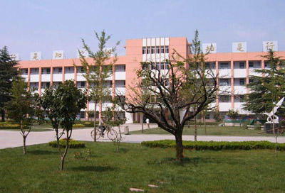 山东省新泰市第学