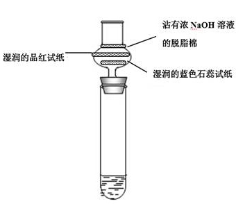 浓硫酸脱水性实验的改进